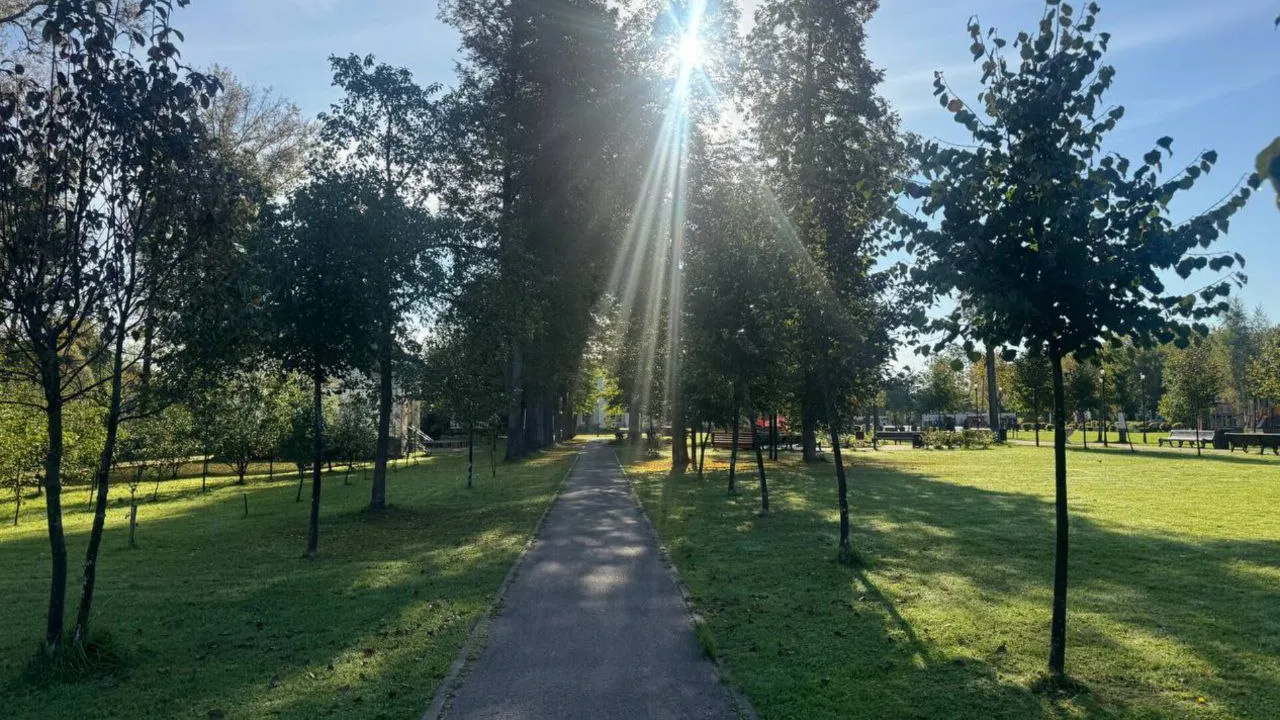 Фото: t.me/ParkVerbilki