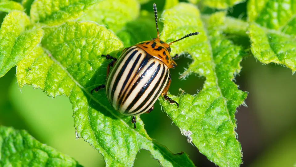 Фото: istockphoto.com