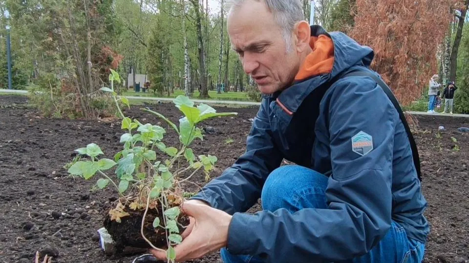 Фото: Екатерина Дятловская