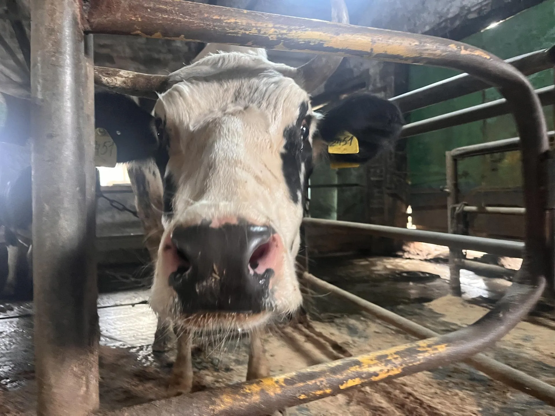 Фото: МедиаБанк Подмосковья/Ангелина Стельмух