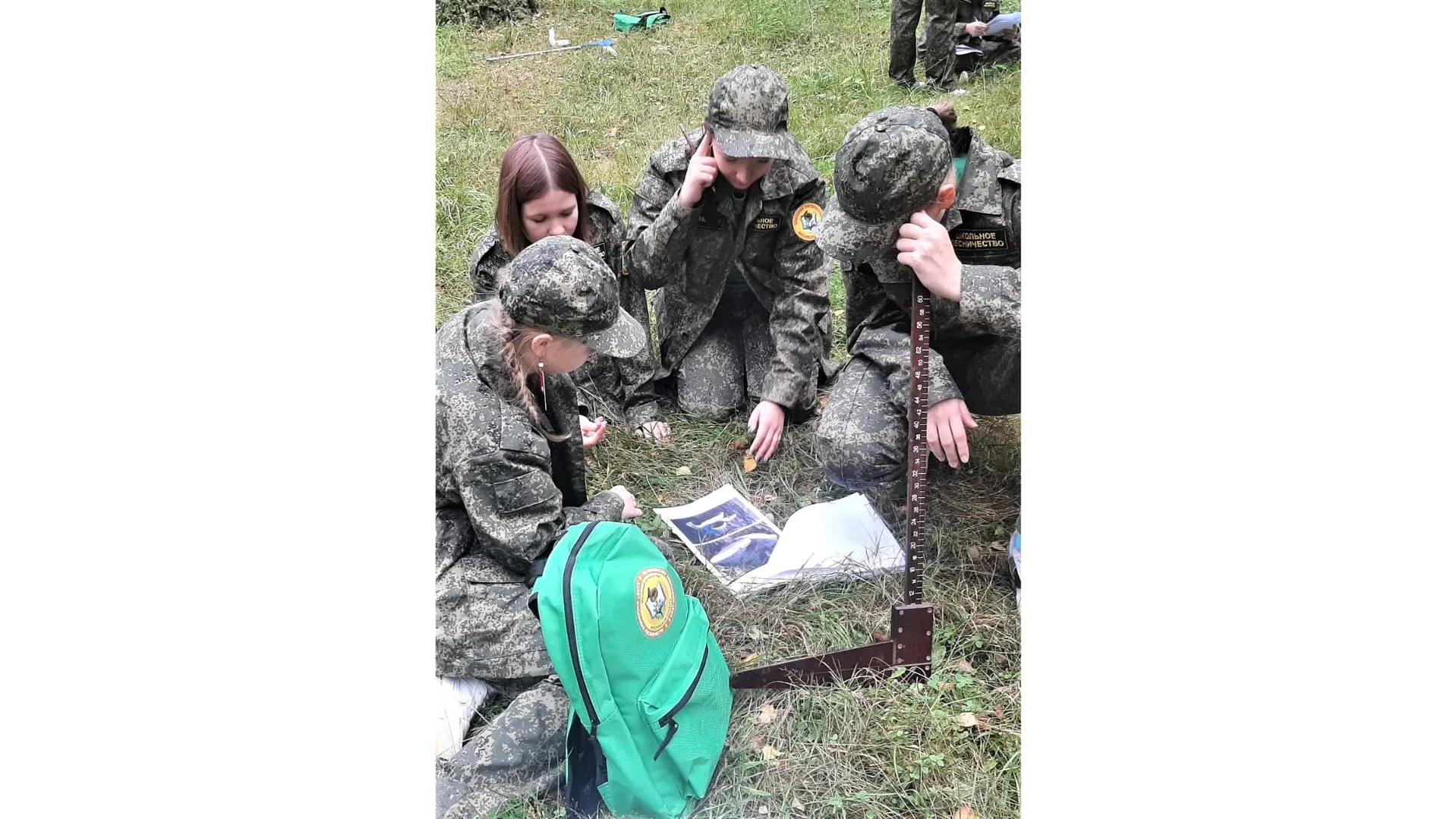 Фото: Комитет лесного хозяйства Московской области