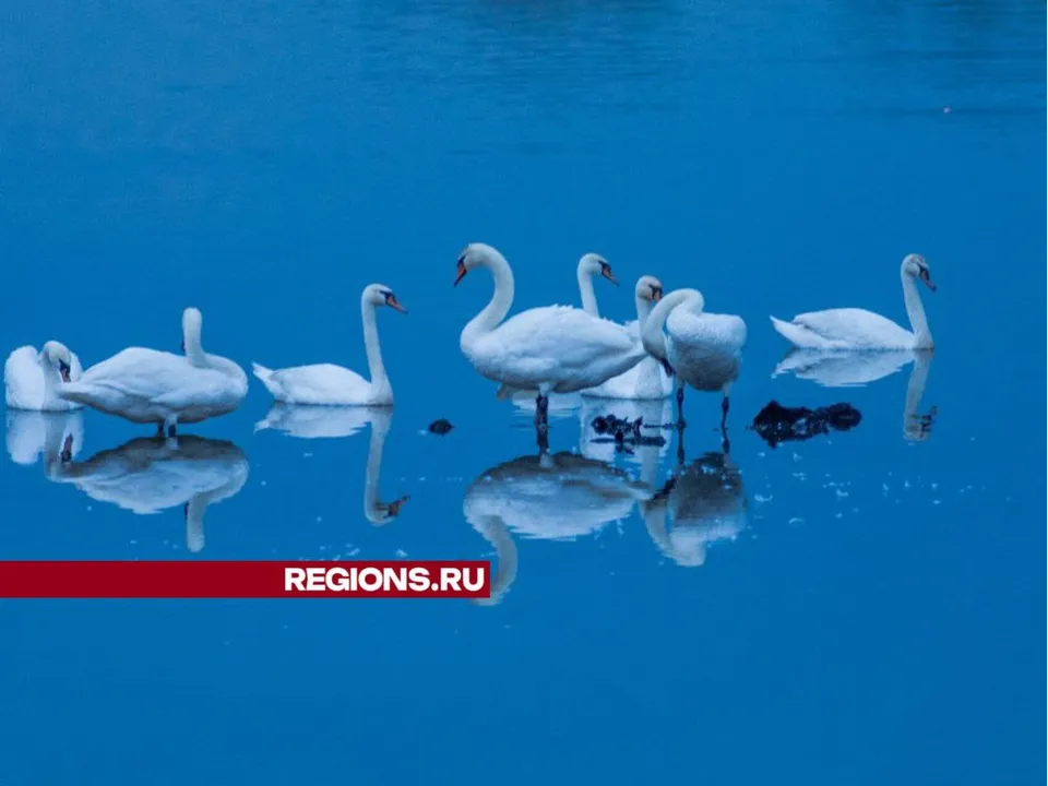 Фото: t.me/malakhovskoe_ozero