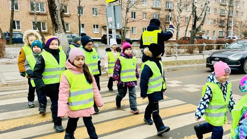 Фото: ОМВД России по г.о. Ступино