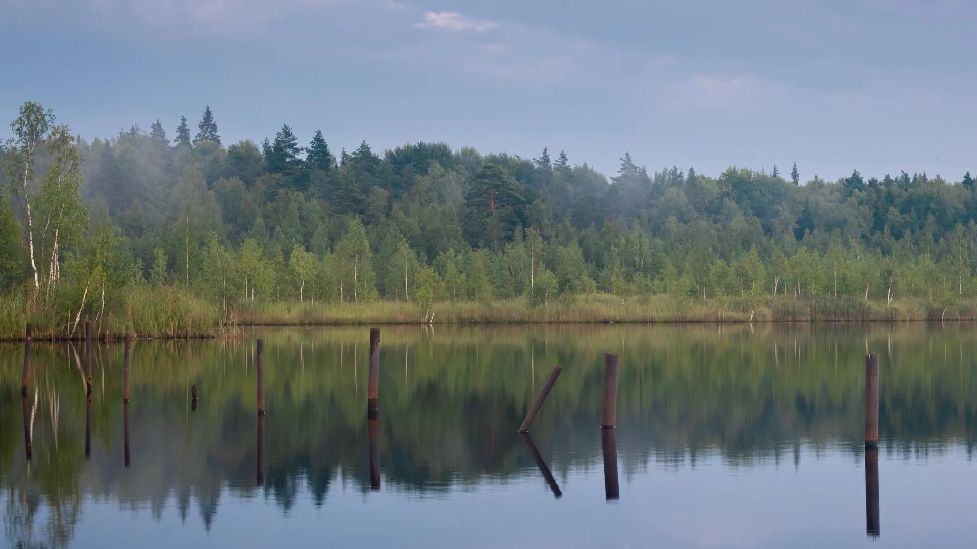 Фото размещено Александром Балахоновым в ВКонтакте