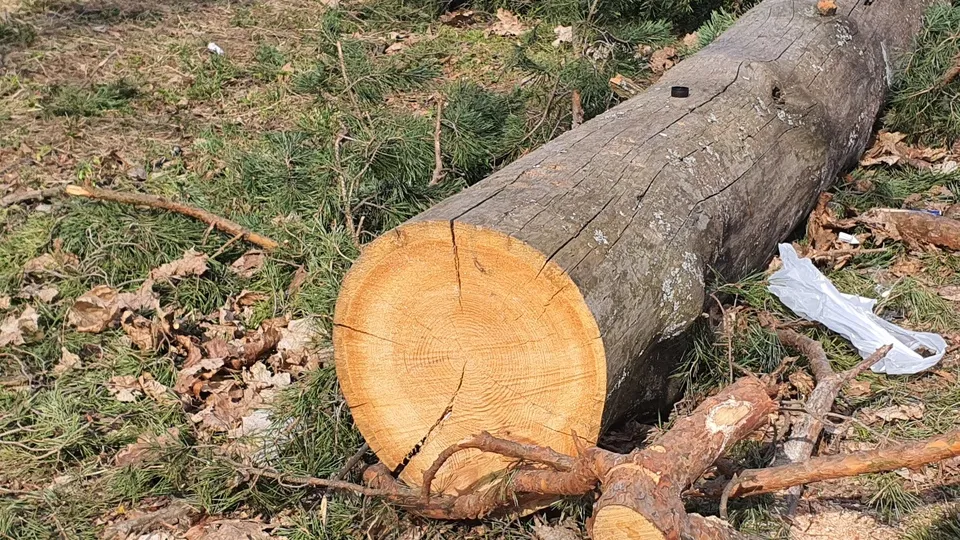 Фото: Наталия Надточая