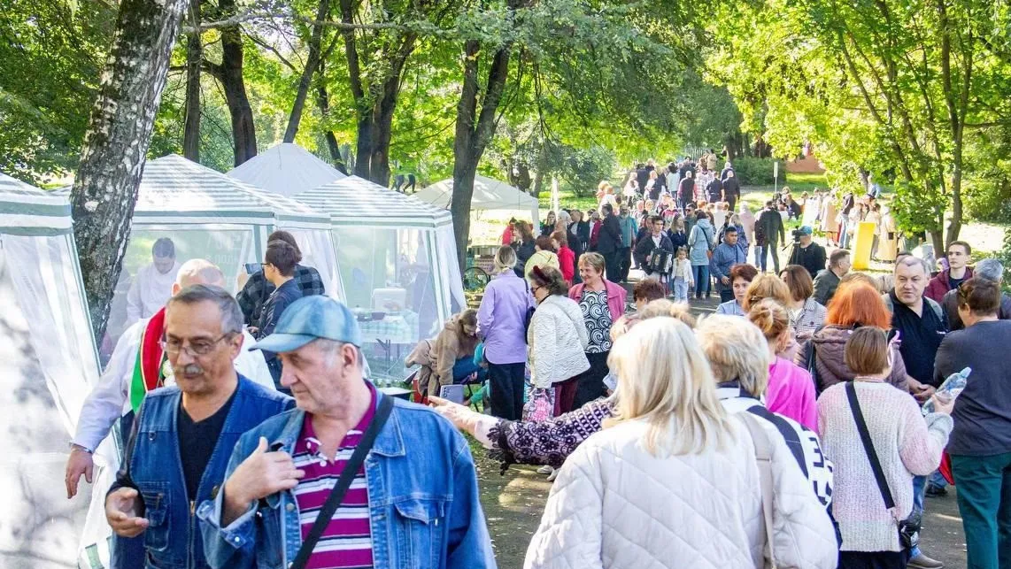 Фото: пресс-служба администрации г. о. Подольск