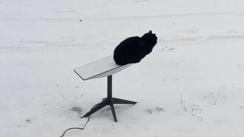 Соцсети