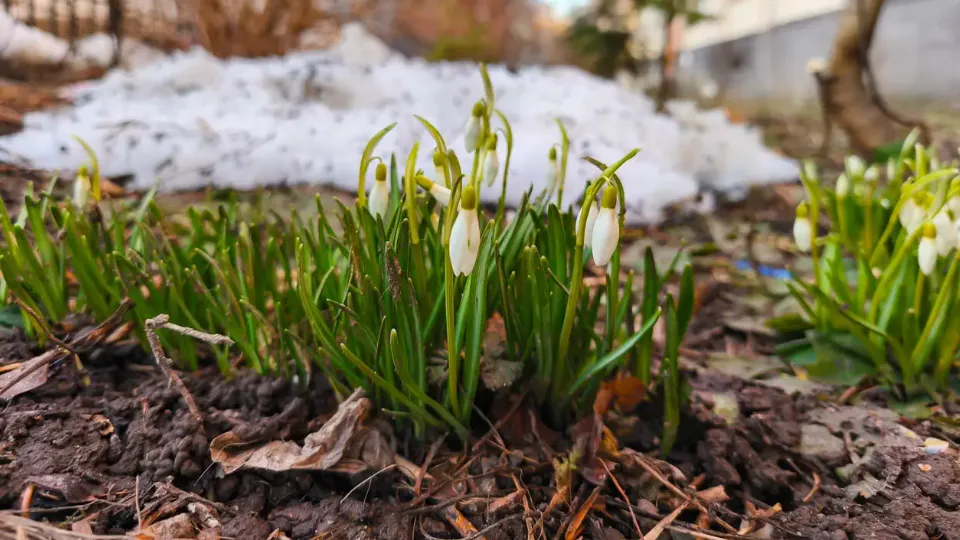 REGIONS/Анастасия Широкая