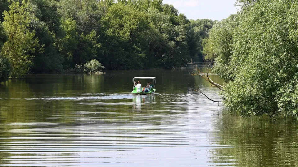 Фото: пресс-служба Администрации г.о. Серпухов