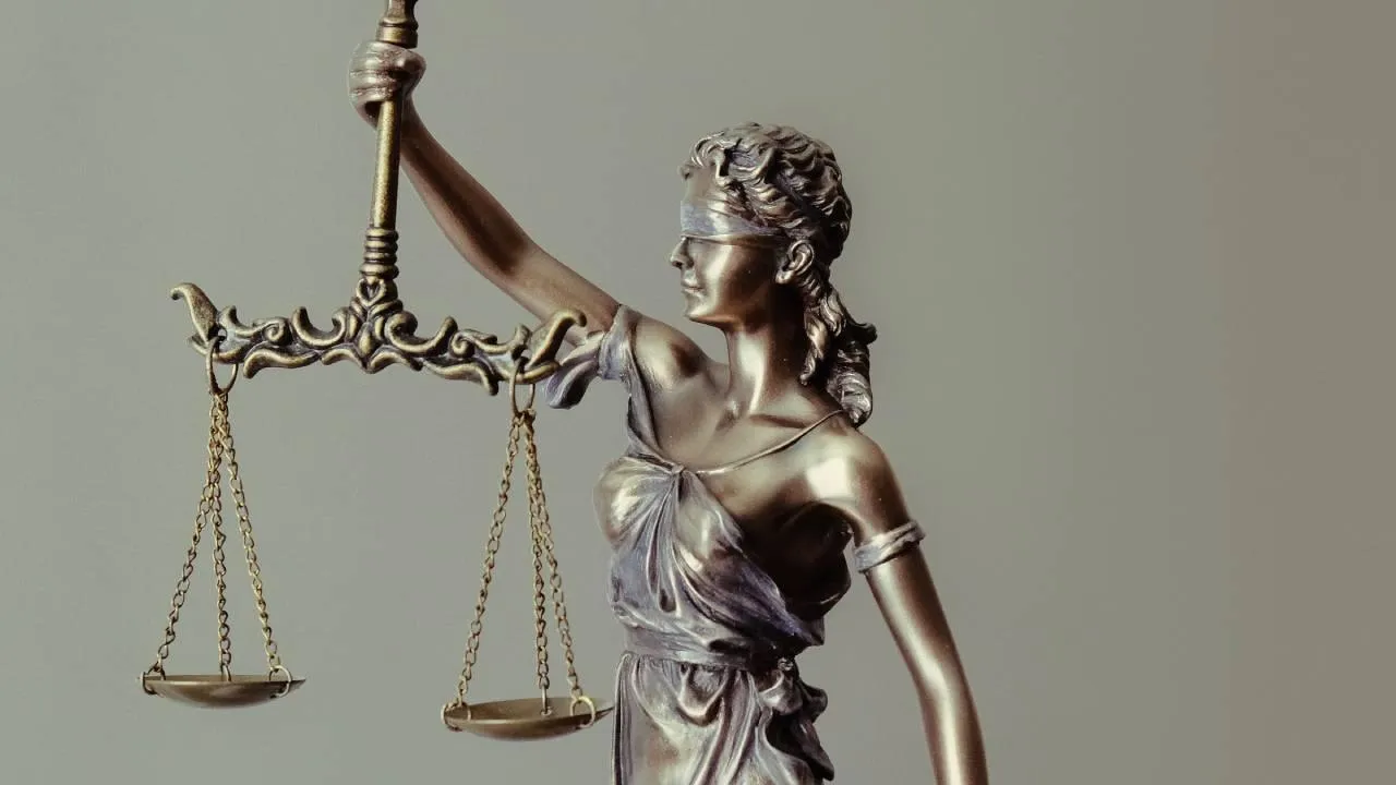 Адвокат Лерчек прокомментировал освобождение блогера от судебных запретов