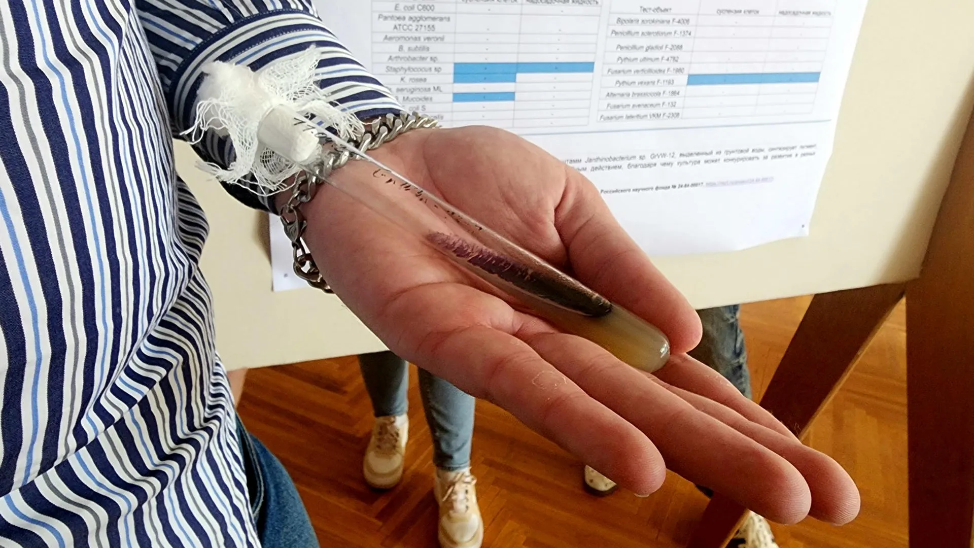 Фото: Мария Панина