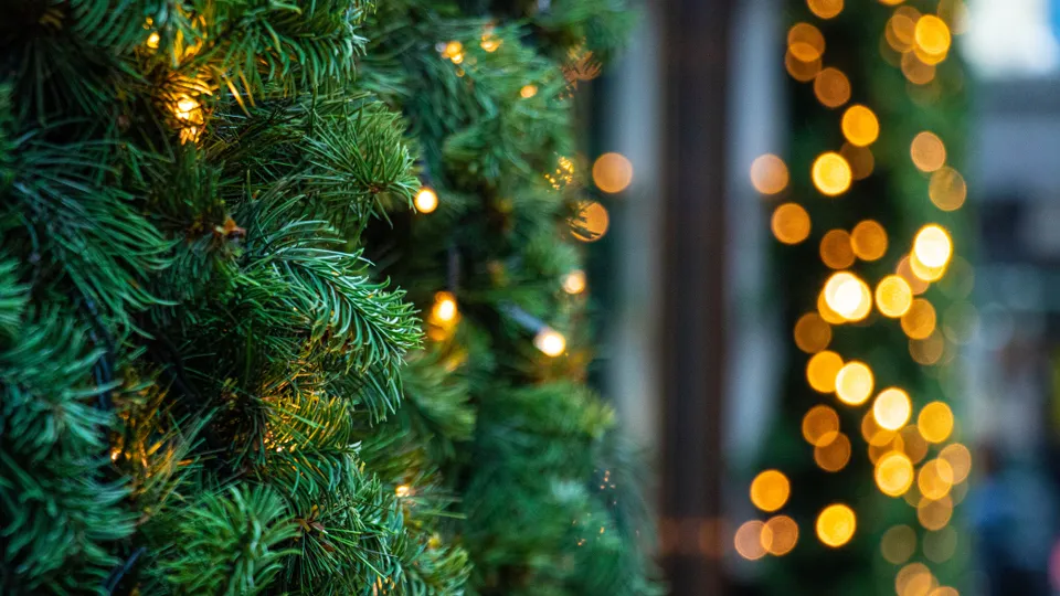 Фото: istockphoto.com/Olha Kachur