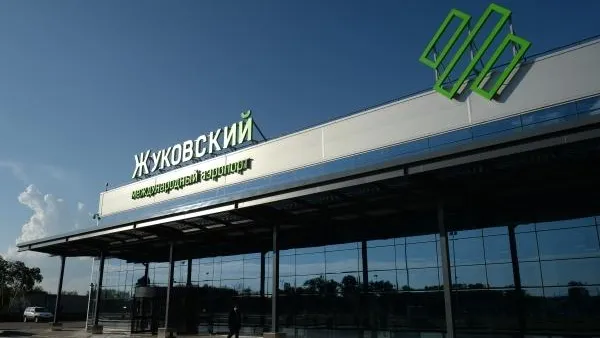 Численность птиц в районе аэропорта Жуковский сочли нормальной