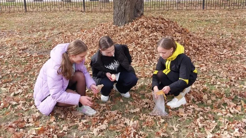 Комитет лесного хозяйства Московской области