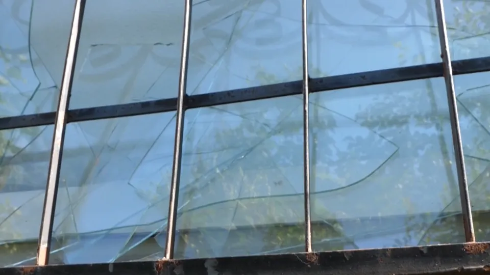 Фото: пресс-служба администрации Сергиево-Посадского г.о.