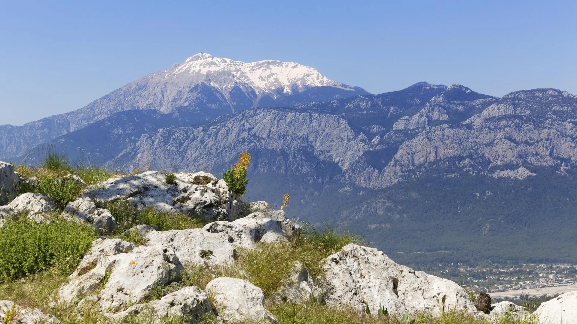 Martin Siepmann/imageBROKER.com