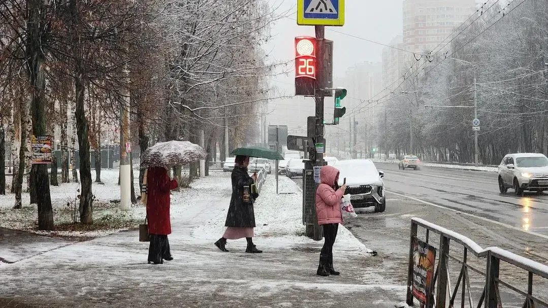 Медиабанк Подмосковья/Мария Шигорева