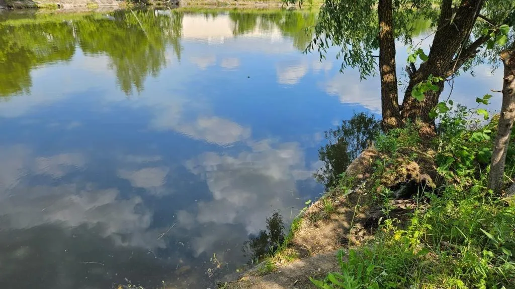 Фото: Минэкологии МО