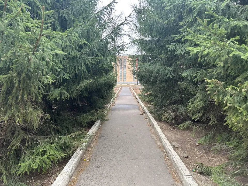 Фото: Эдуард Стратонов