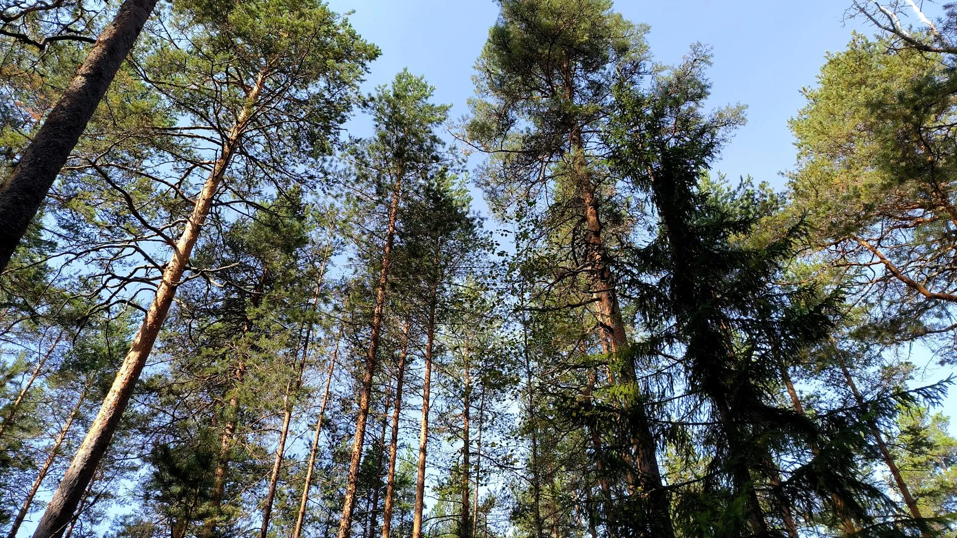 Maksim Konstantinov/Global Look Press