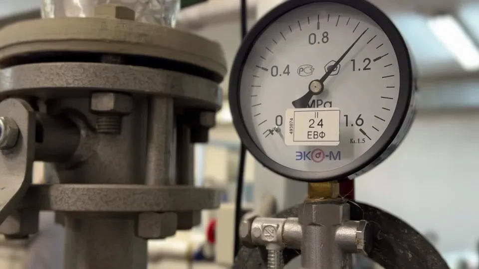 Фото: Ксения Казакова