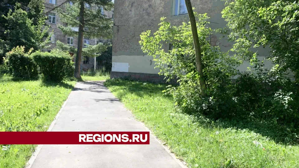 Фото: Ирина Мальцева