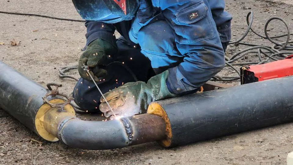 Фото: МедиаБанк Подмосковья/Анна Шолохова