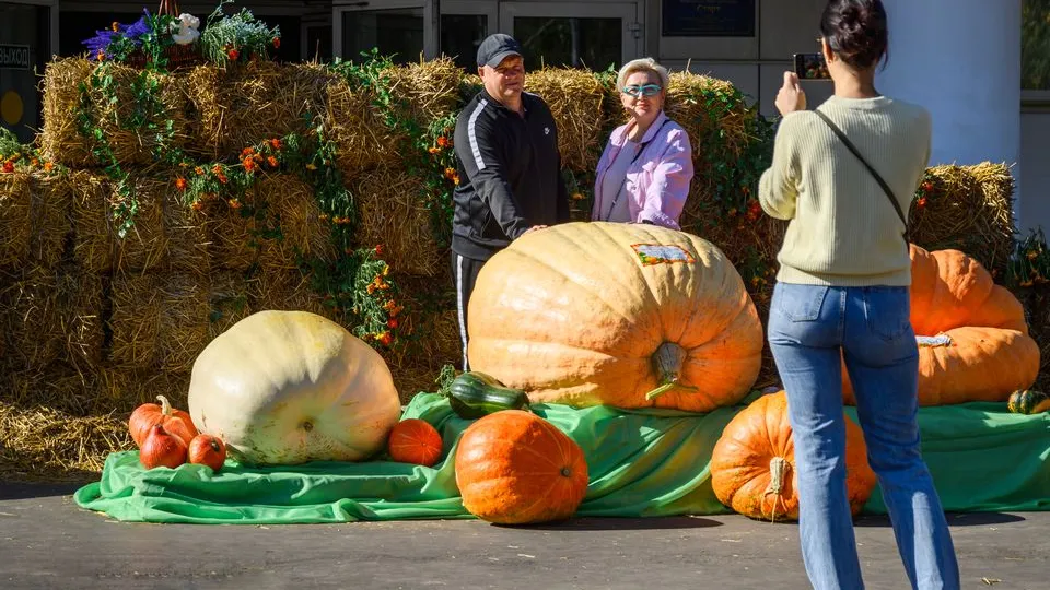 Фото: медиасток.рф