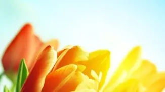 Фото: https://ru.freepik.com/