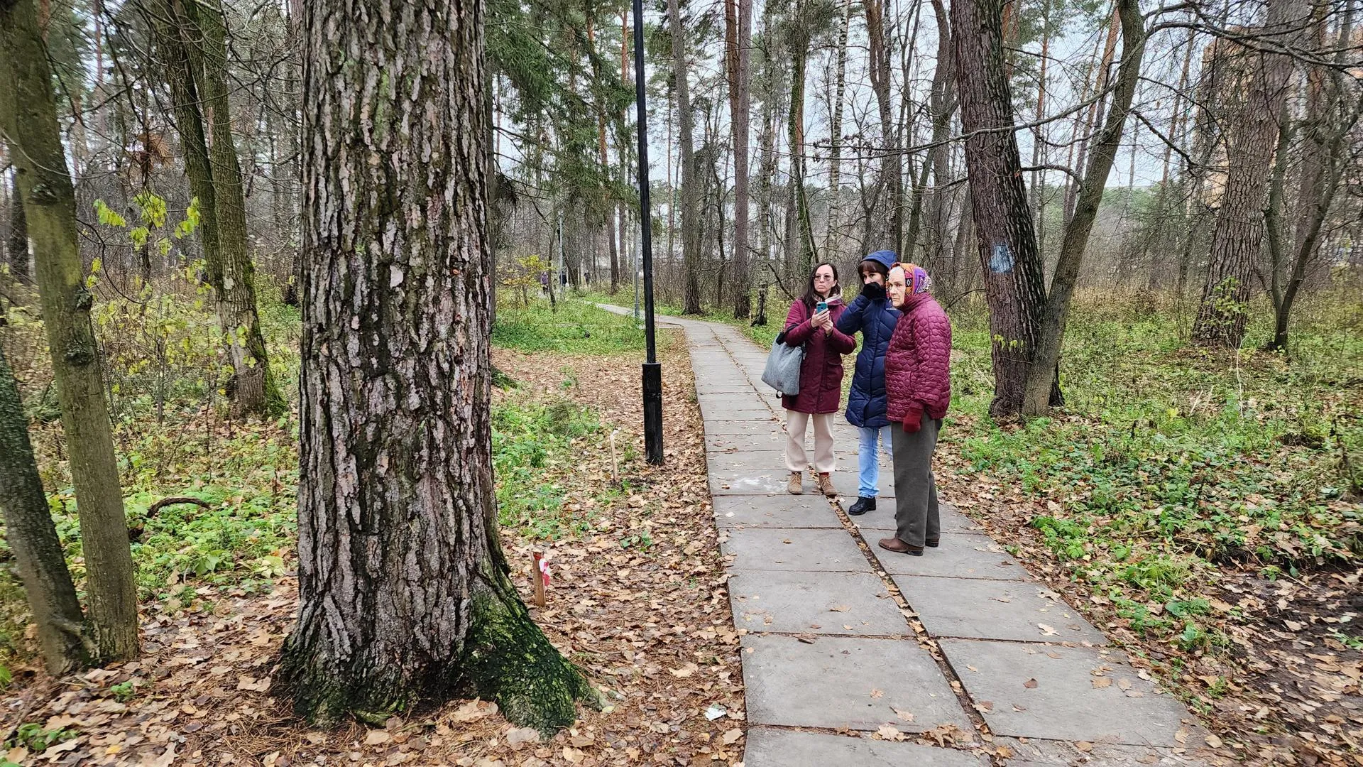 Фото: Анна Мороз