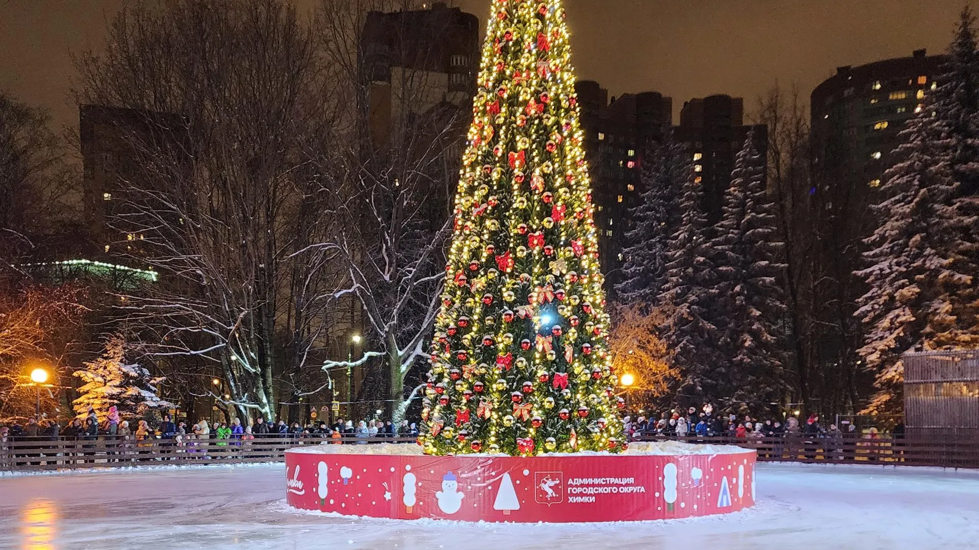 Дарья Савинова