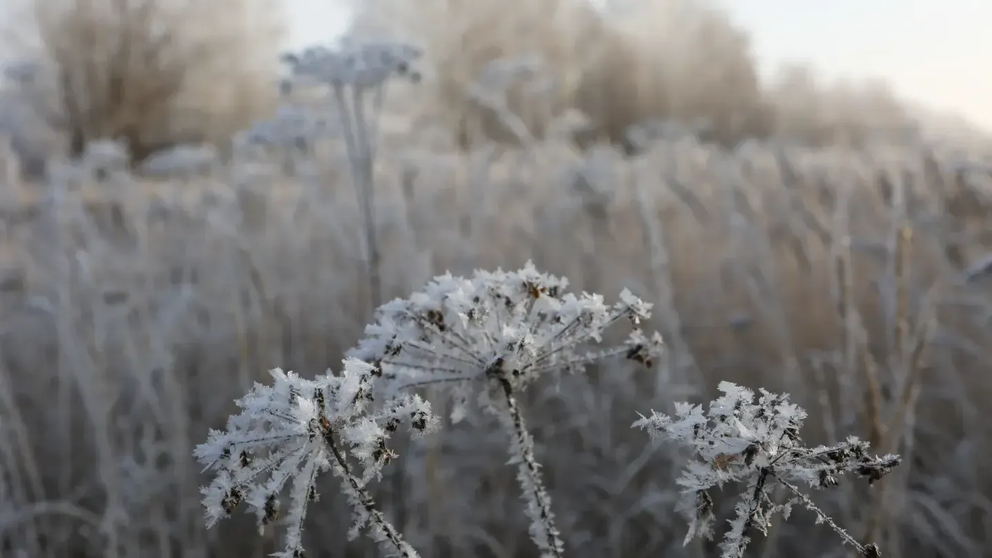 медиасток.рф