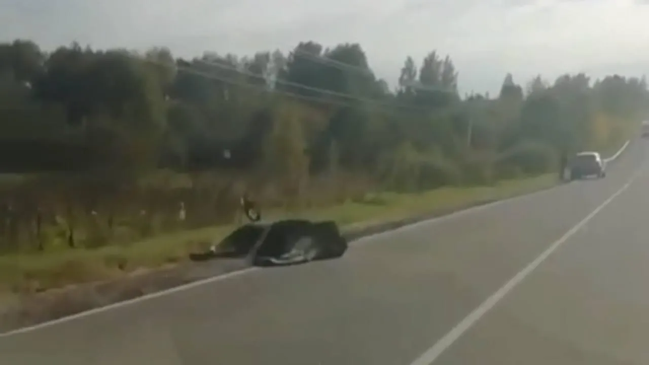 фото: соцсети