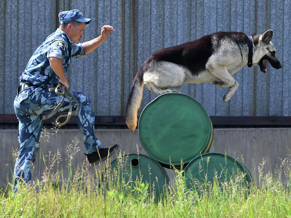 Фото: РИА Новости/Илья Наймушин