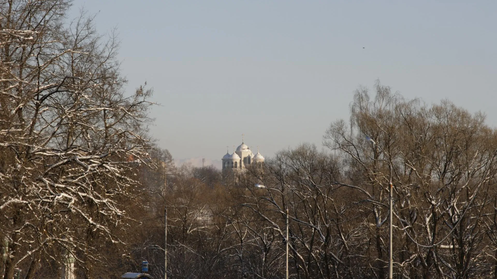 Фото: Ангелина Никифорова