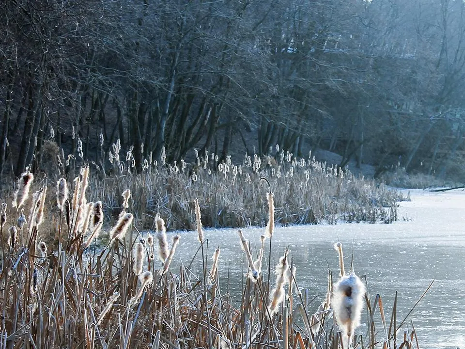 До -6 градусов и гололедица: прогноз погоды в Москве и Подмосковье на выходные 15 и 16 ноября