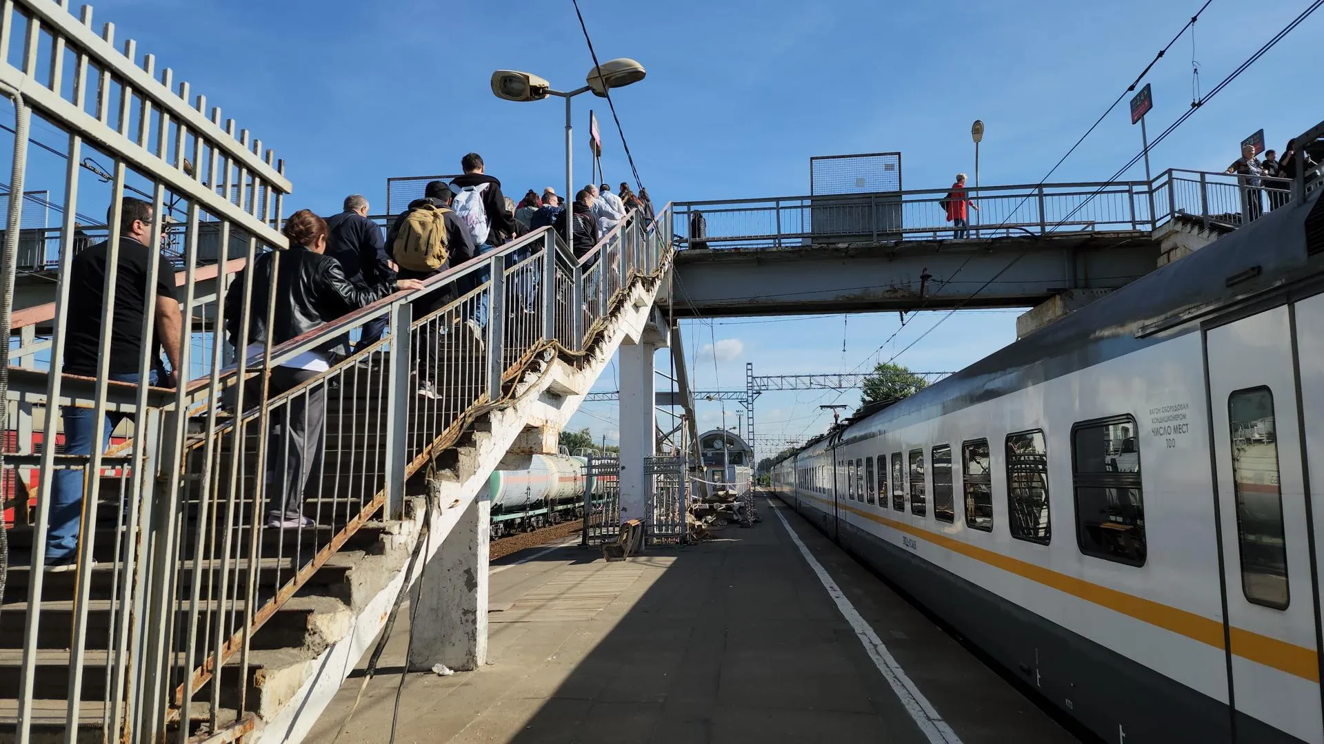 Сморкалов Никита