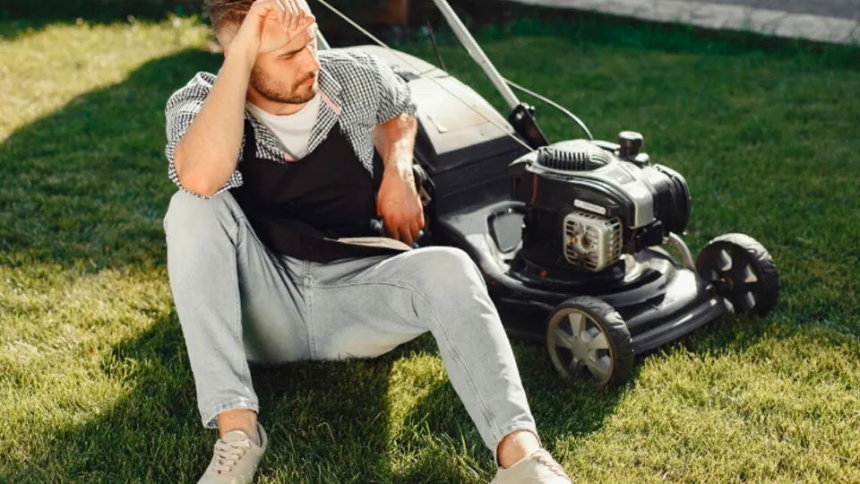 Фото: freepik.com