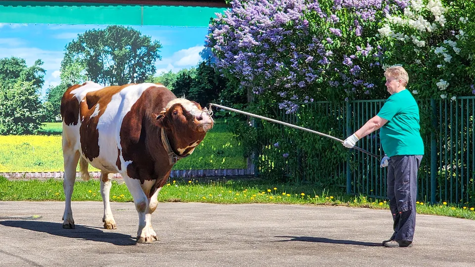 Фото: Мария Андрюхина