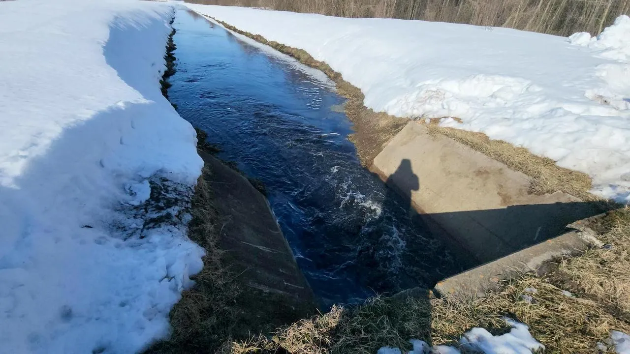 МедиаБанк Подмосковья/Анна Шолохова