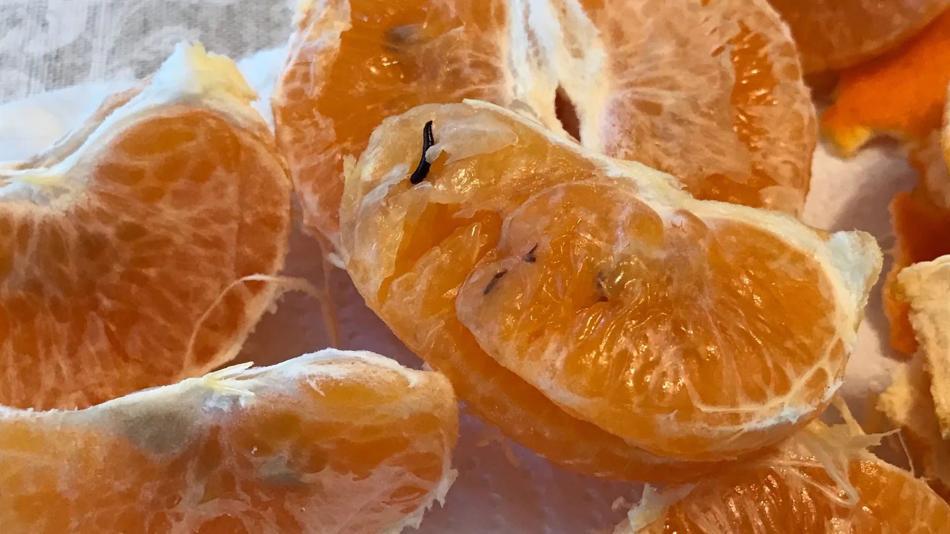 Фото: vk.com/Подслушано | Истра