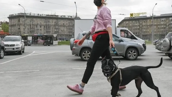 Александр Кряжев / РИА Новости