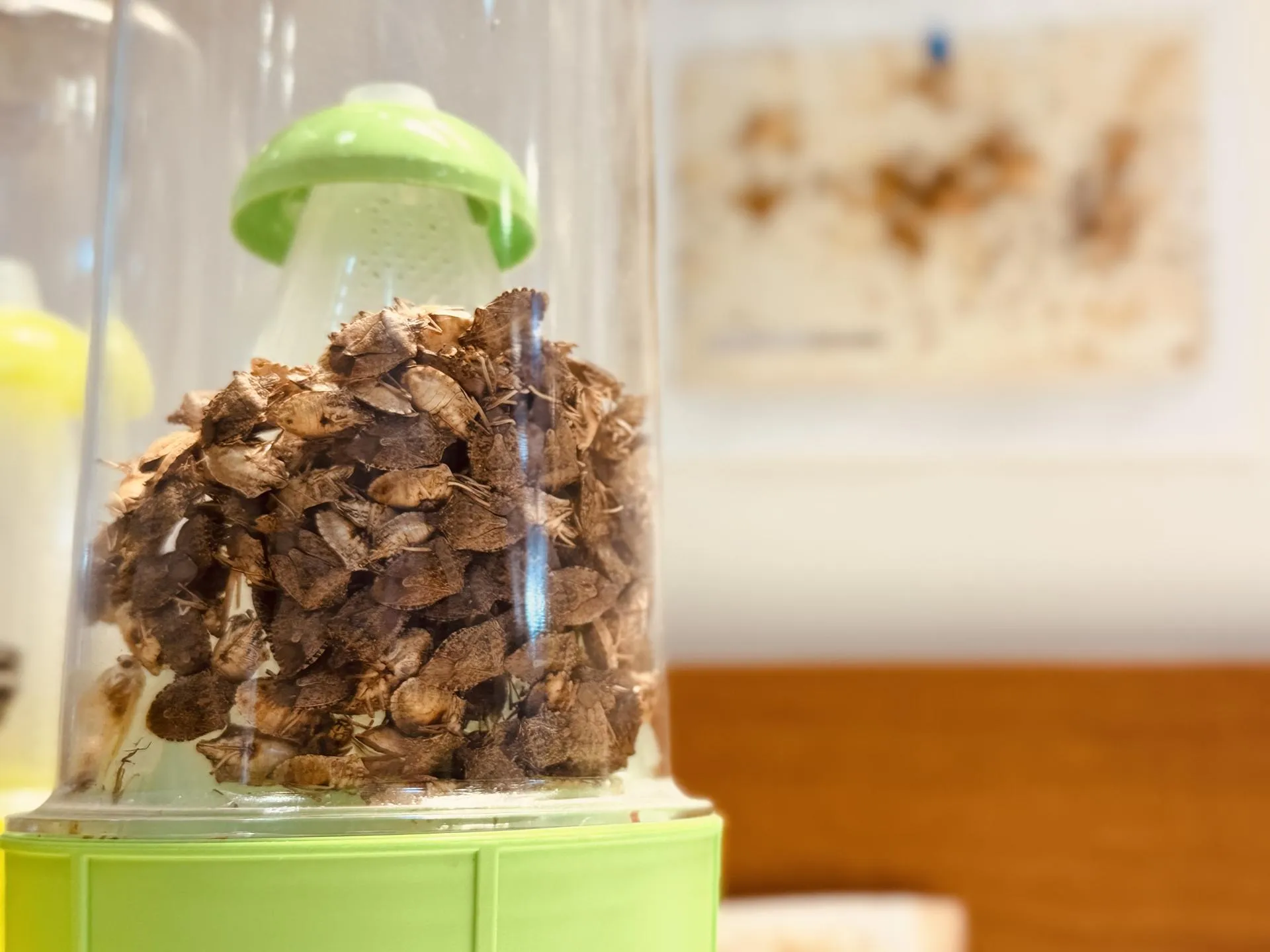 МедиаБанк Подмосковья/Ольга Стаферова