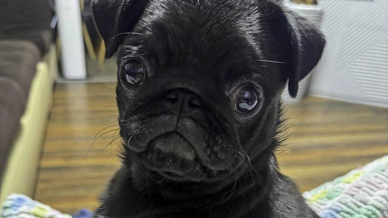 REGIONS/Анастасия Малышенко