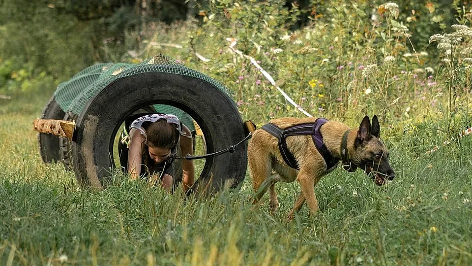 Фото: Министерство образования МО