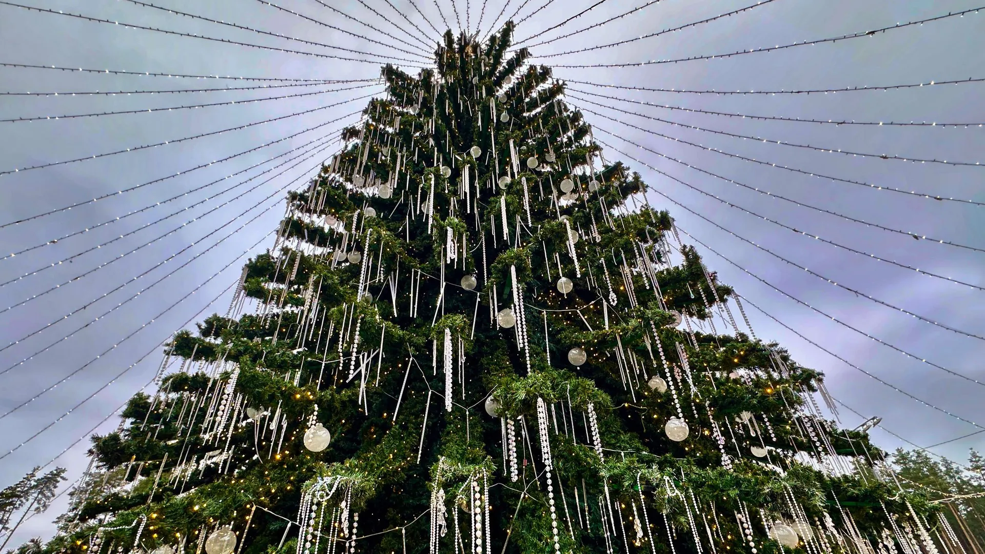 Фото: МБУ «Дирекция парков Одинцовского городского округа»