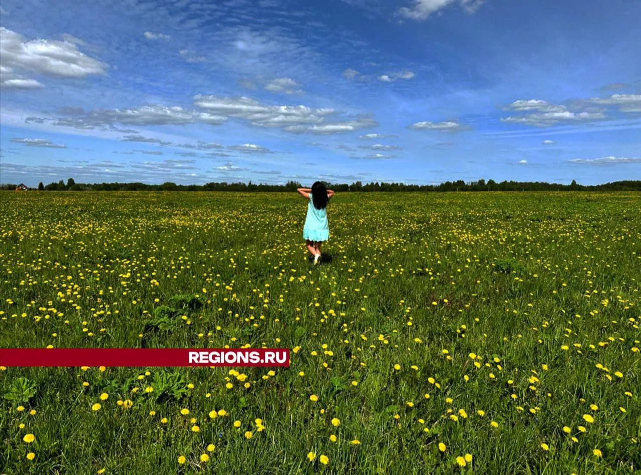 Фото: Александра Серова