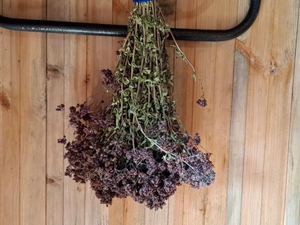 Фото: REGIONS/Юлия Габбасова