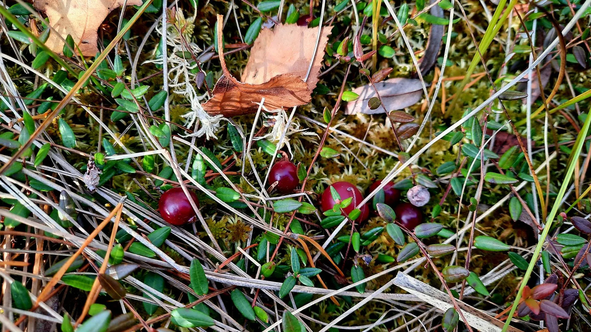 Мартыненко Михаил