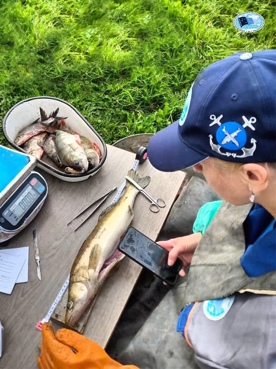 Евгений Рой